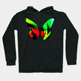 Full color Butterfly by Cooltomica Hoodie